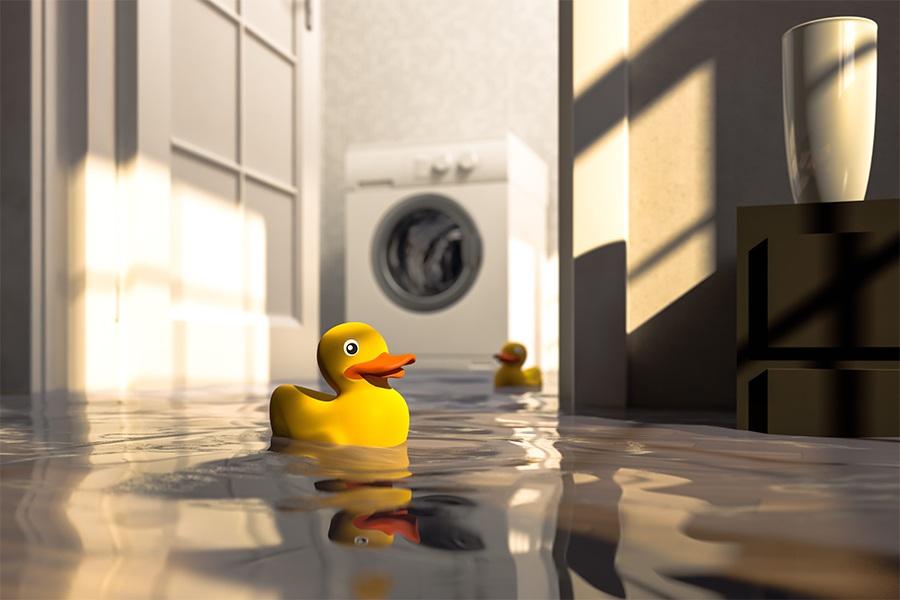 A pair of rubber ducks in a flooded room.