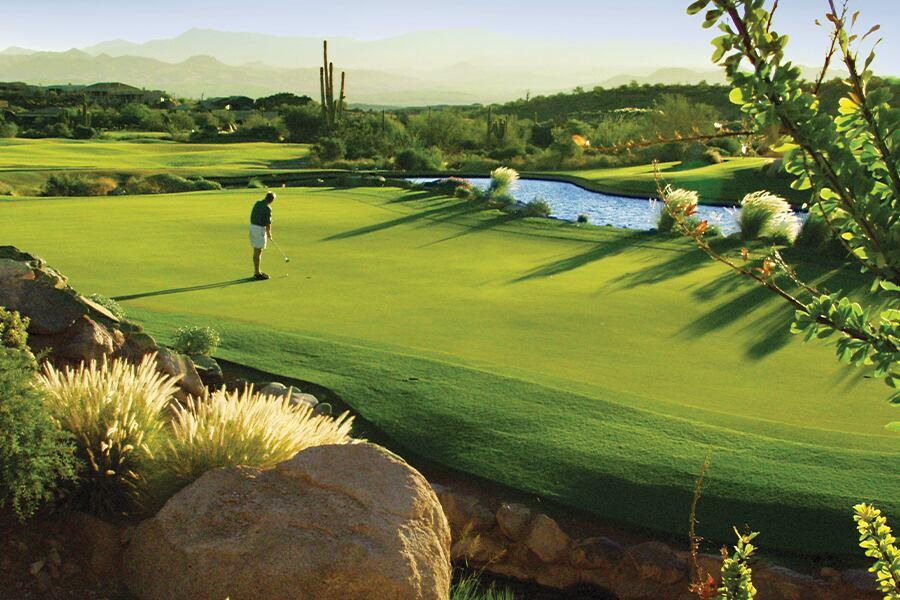 A golfer on a lush green course with a pond and cacti in the background during sunrise or sunset.