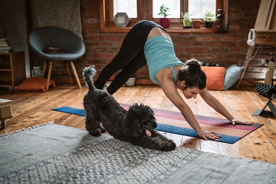 A woman practicing yoga with her dog in a living room.
