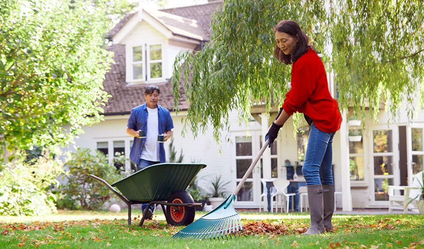 A man and woman are raking leaves in a yard.