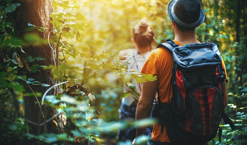A couple hiking in the woods with a backpack.
