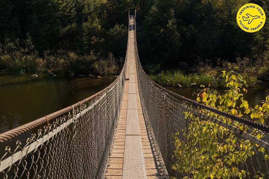 A suspension bridge over a river in a forest.